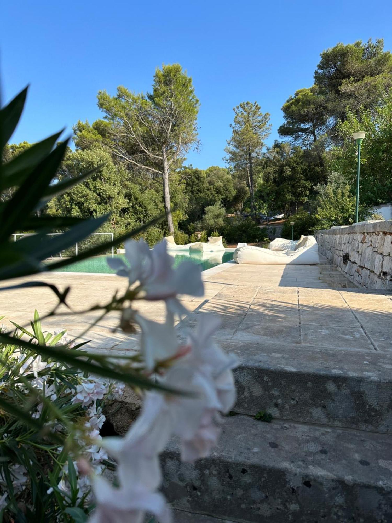 Il Trullo Di Simona Bed and Breakfast Locorotondo Exteriör bild